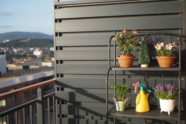 Transform Your Balcony into a Mini Garden Oasis
