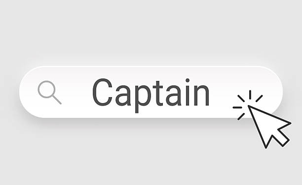 reported Google pilot